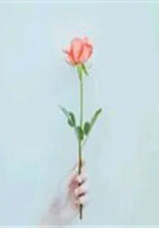 人潮擁擠別丟了自己 封面
