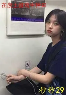 在廢土遊戲中種田 封面