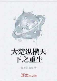 大楚縱橫天下之重生 封面