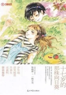 十七歲的那株向日葵 封面