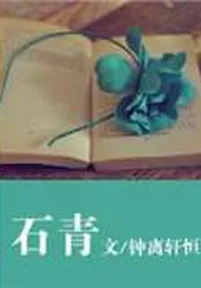 石青 封面