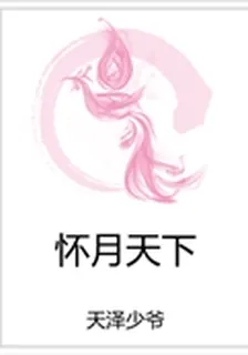 懷月天下 封面