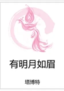 有明月如眉 封面