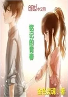 銘記的青春 封面