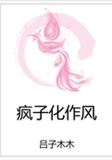 瘋子化作風 封面