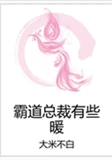 霸道總裁有些暖 封面
