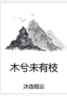 木兮未有枝 封面