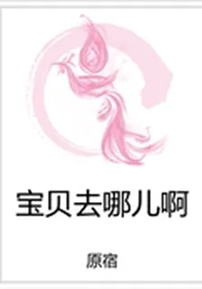 寶貝去哪兒啊 封面