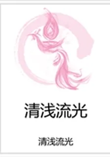 清淺流光 封面