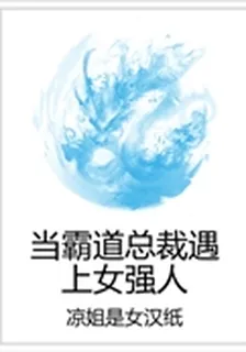 當霸道總裁遇上女強人 封面