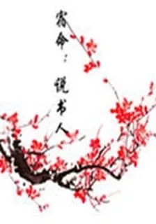 宿命：說書人 封面