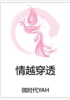 情越穿透 封面