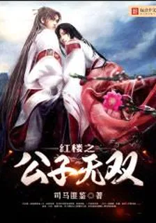 紅樓之公子無雙 封面