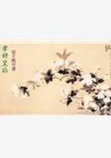 孝妍皇后 封面