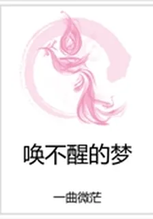 喚不醒的夢 封面
