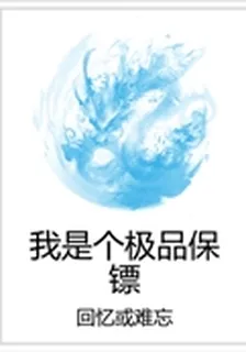 我是個極品保鏢 封面