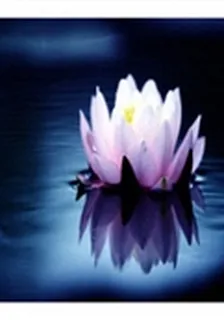 等待說你愛 封面