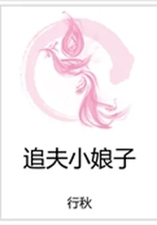 追夫小娘子 封面