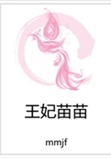 王妃苗苗 封面