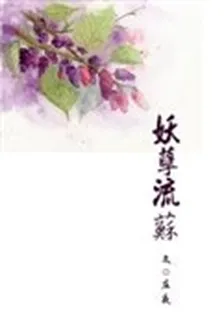 妖孽流蘇 封面