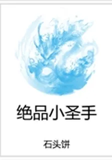 絕品小聖手 封面