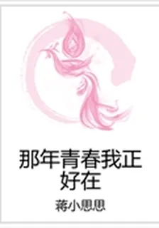 那年青春我正好在 封面