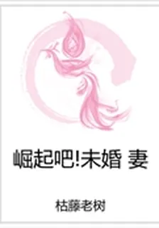 崛起吧！未婚妻 封面