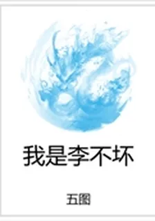 我是李不壞 封面