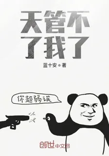 天管不了我了 封面