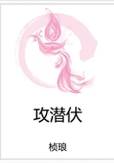 攻潛伏 封面