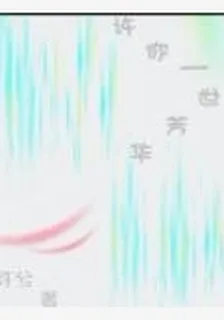 許你一世芳華 封面