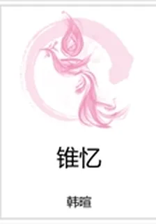 錐憶 封面