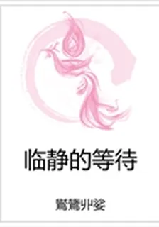 臨靜的等待 封面