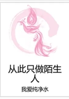 從此只做陌生人 封面