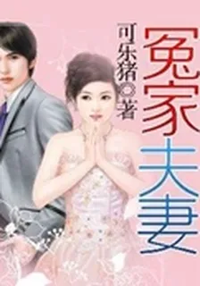 冤家夫妻 封面
