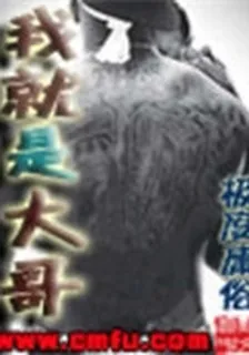 我就是大哥 封面