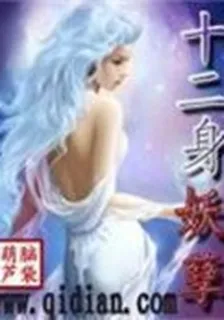 十二身妖孽 封面