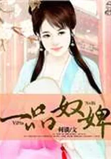 一品奴婢 封面