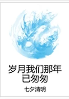 歲月我們那年已匆匆 封面