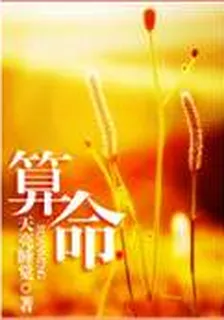 算命 封面
