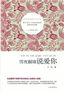 雪夜翻牆說愛你 封面