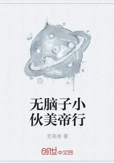 無腦子小夥美帝行 封面