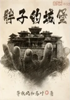 胖子的城堡 封面