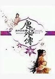 唐宮外傳 封面