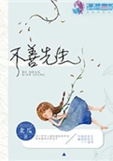 不善先生 封面