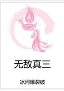 無敵真三 封面