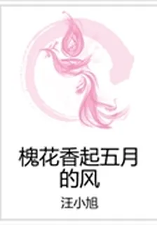 槐花香起五月的風 封面