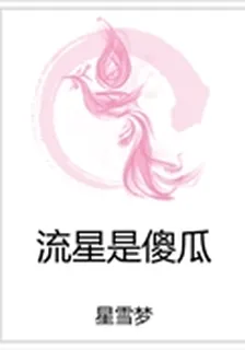 流星是傻瓜 封面