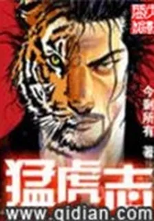 猛虎志 封面