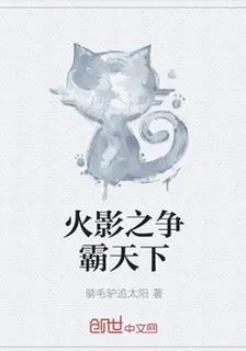火影之爭霸天下 封面
